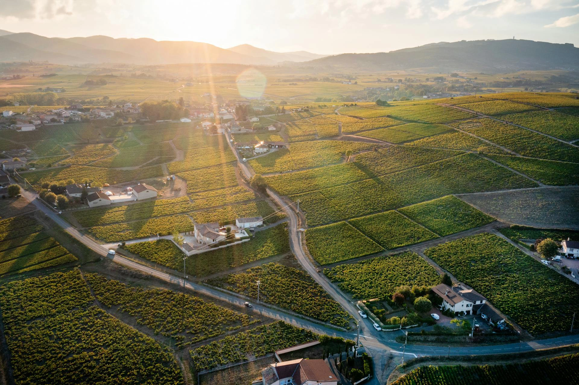 Les confidences du beaujolais Les confidences du beaujolais